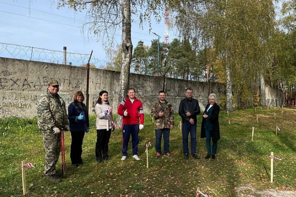 50 сеянцев сосны высадили в городском парке в Наволоках